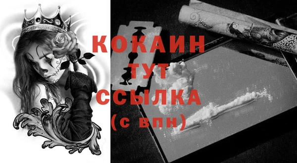 дмт Аркадак