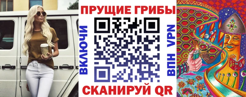 сколько стоит Борисоглебск Псилоцибиновые грибы MAGIC MUSHROOMS